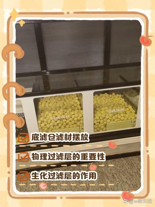 西龍魚缸底濾濾材放置