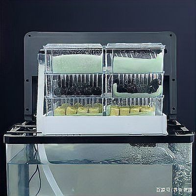 西龍魚缸底濾濾材放置