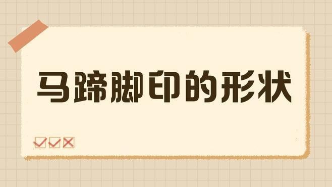如何區分真假馬蹄印（正品馬蹄印通常呈大半圓形（馬、驢）或橢圓形（騾））