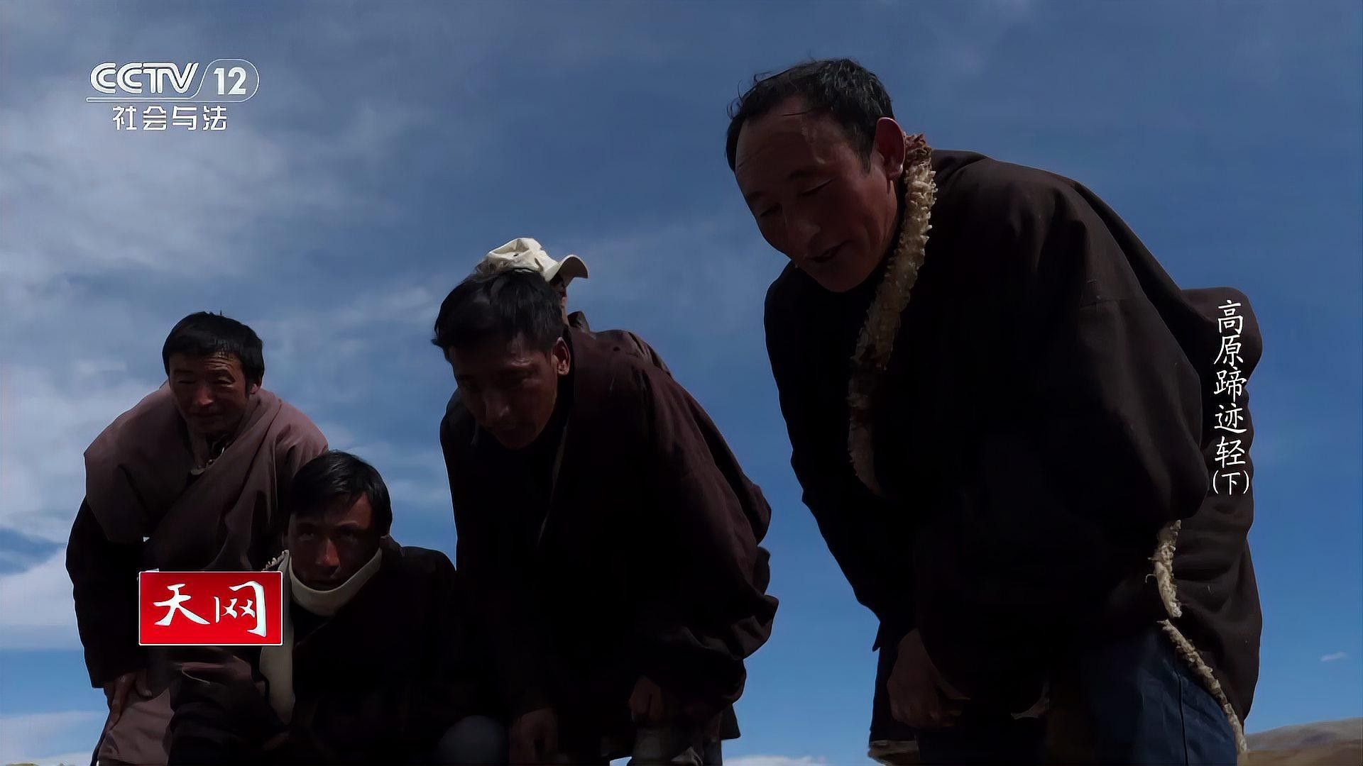 如何區分真假馬蹄印（正品馬蹄印通常呈大半圓形（馬、驢）或橢圓形（騾））