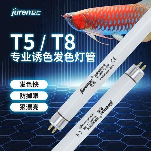 推薦幾款適合龍魚的熒光燈（龍魚燈光美鱗龍魚診所）