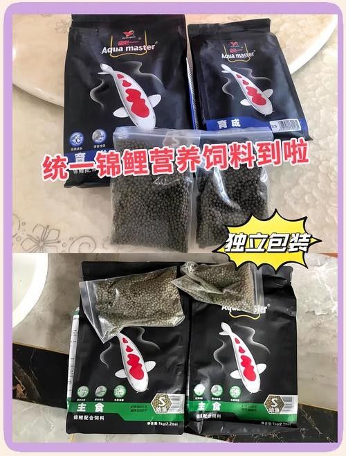 龍魚缸養(yǎng)錦鯉的飼料選擇（養(yǎng)錦鯉最忌諱的事盤點(diǎn)新手養(yǎng)錦鯉8大坑）