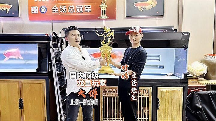 上海龍魚大賽的歷史（2019年上海龍魚大賽龍魚大賽的歷史發展脈絡）