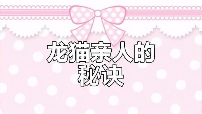 如何延長龍貓的熟悉期（如何讓龍貓更親人）