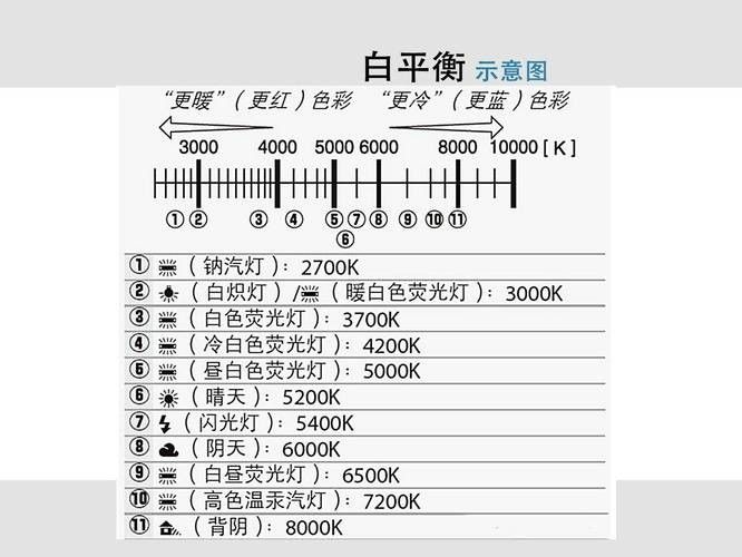 如何調整相機的白平衡以拍攝龍魚（拍攝龍魚時，白平衡需兼顧環境光與閃光燈特性）