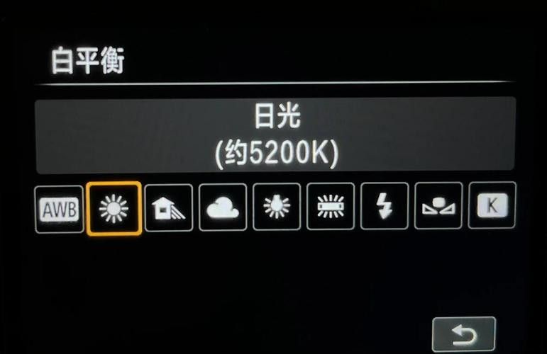 如何調整相機的白平衡以拍攝龍魚（拍攝龍魚時，白平衡需兼顧環境光與閃光燈特性）