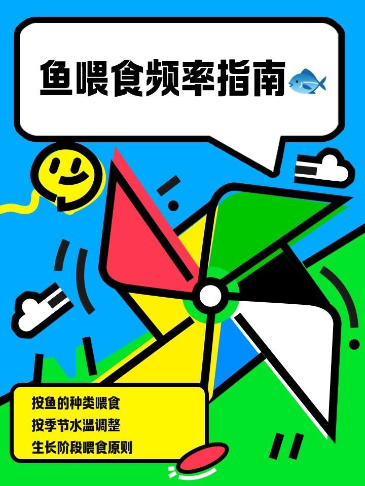 金龍魚多久喂食一次（金龍魚一天喂食幾次）