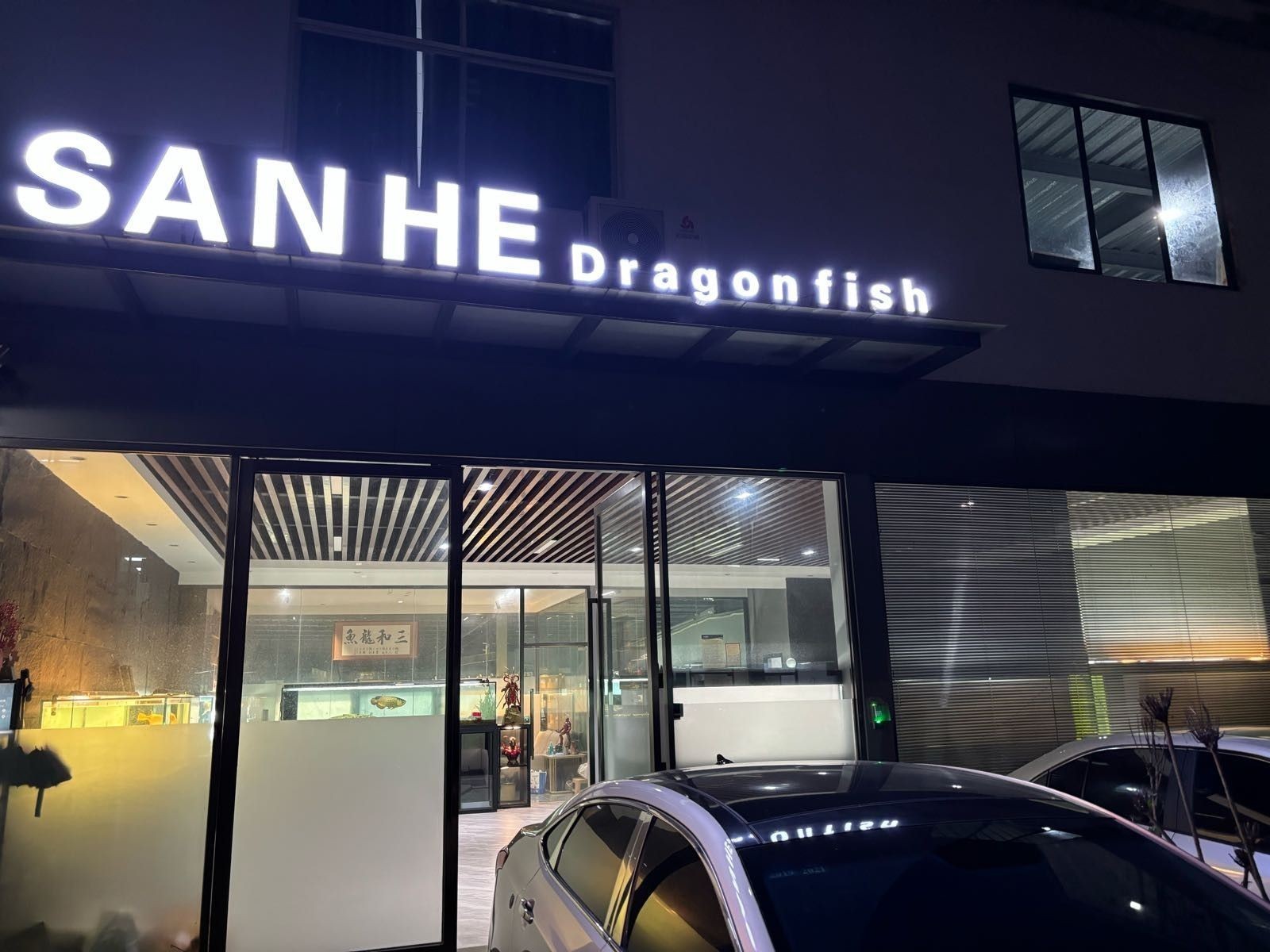 西工哪個水族館龍魚好？祥龍魚場龍魚（北京西工水族館和祥龍魚場龍魚）