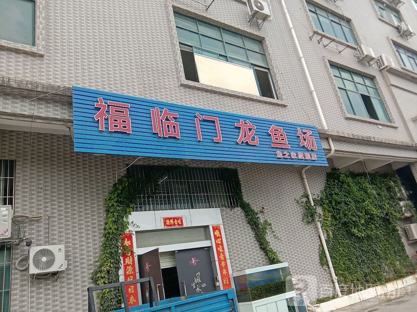 西工哪個水族館龍魚好？祥龍魚場龍魚（北京西工水族館和祥龍魚場龍魚）