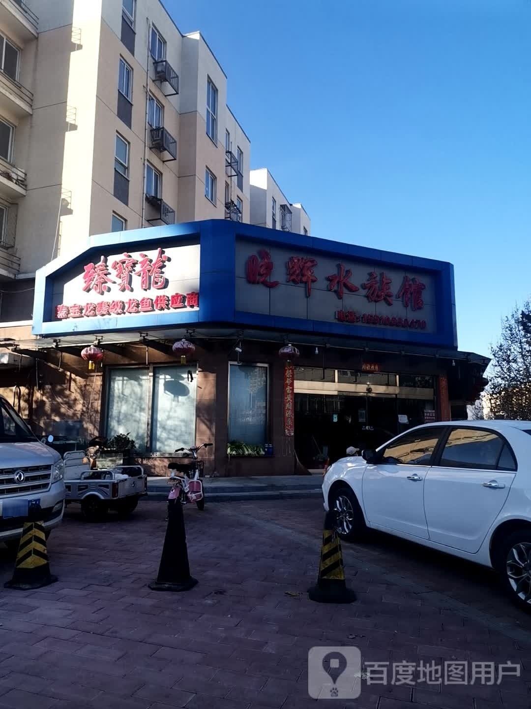 <strong><mark>北京</mark></strong>哪里有賽級龍魚出售？（<strong><mark>北京</mark></strong>地區可購買賽級龍魚）