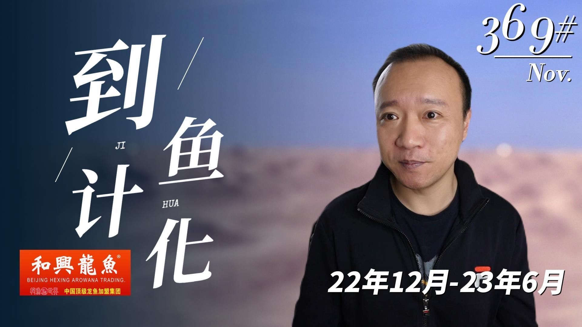 北京哪里有賽級(jí)龍魚出售？（北京地區(qū)可購(gòu)買賽級(jí)龍魚）