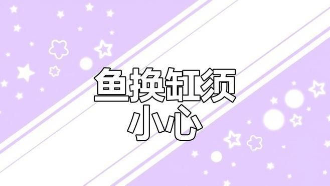 換缸時龍魚會應激嗎（魚缸換水后魚兒應激反應如何應對）
