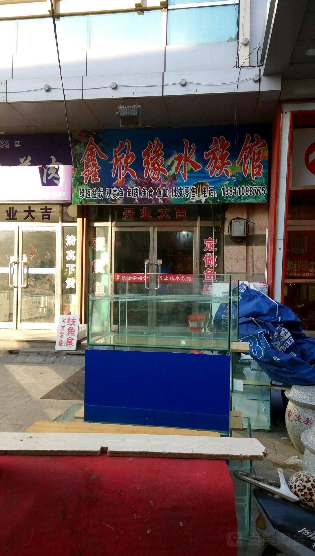 開原哪個水族館龍魚好？祥龍魚場龍魚（開原市有幾家水族館提供龍魚相關產品和服務）