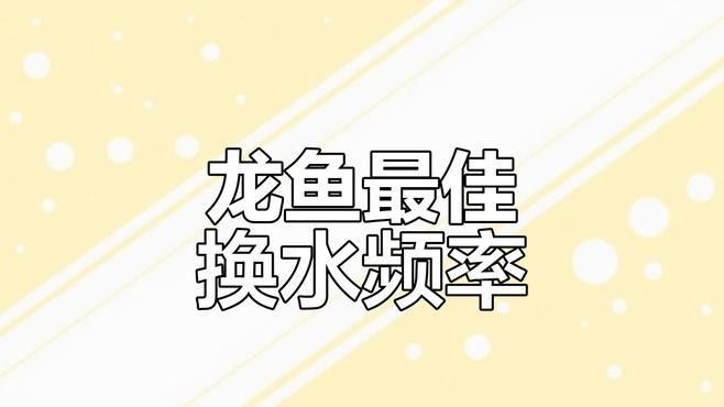 紅龍幼體多久換一次水？（紅龍幼體換水頻率概述）