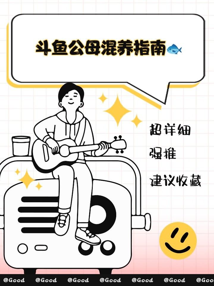 混養(yǎng)時(shí)需要準(zhǔn)備哪些遮蔽物？（混養(yǎng)時(shí)遮蔽物的設(shè)置是減少?zèng)_突、保障安全的關(guān)鍵措施）