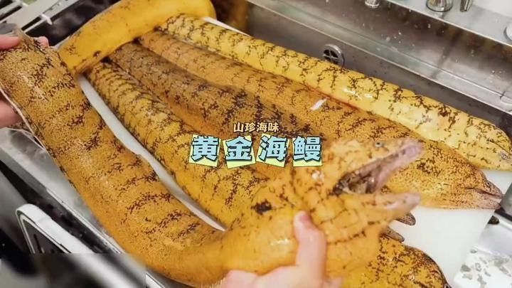黃金鰻魚的市場價格是多少（福建男子釣獲黃金鰻魚，魚身似鍍金）
