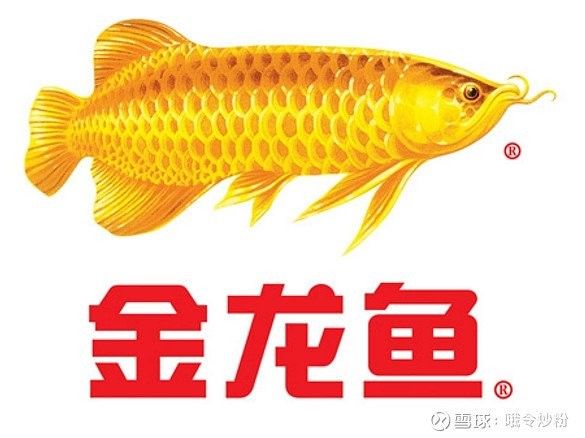 金龍魚產品有哪些系列（如何區分金龍魚）