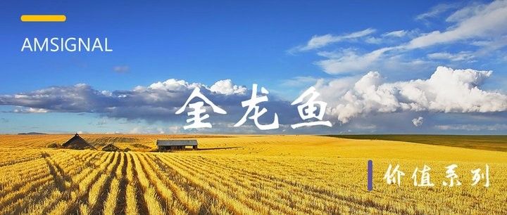 金龍魚產品有哪些系列（如何區分金龍魚）