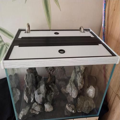 龍魚缸蓋如何選擇（尼龍網蓋：輕便透氣，適合夏季使用，但觀賞性較差）