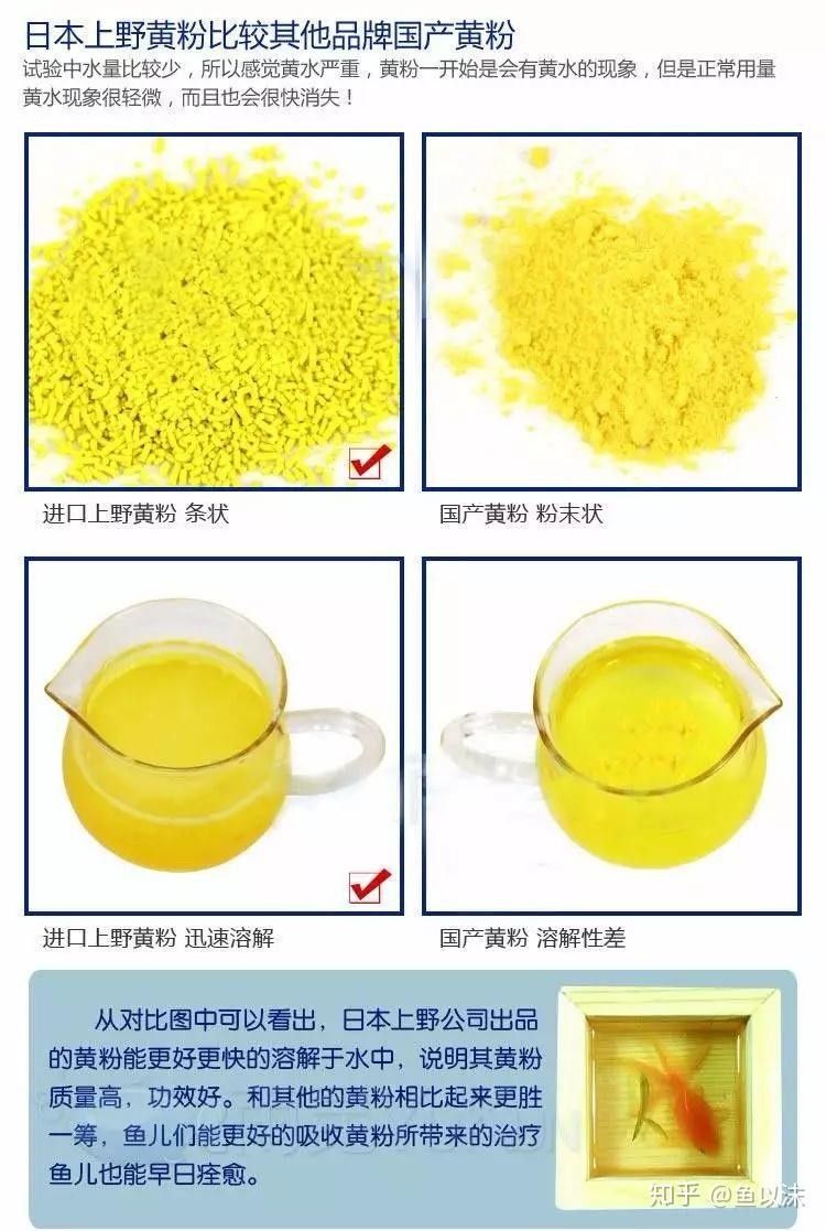如何區分真假黃粉？（一招辨別上野黃粉真假，別再交智商稅）