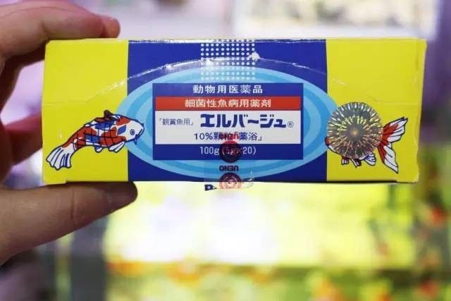 如何區分真假黃粉？（一招辨別上野黃粉真假，別再交智商稅）