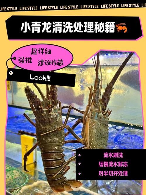 龍頭魚擺件清洗后如何保養？（黃龍玉貔貅怎么養護）