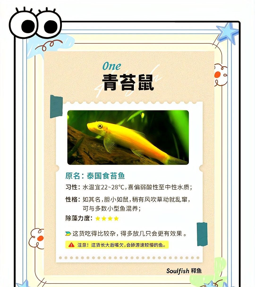 如何預(yù)防龍魚粘液異常（30度高溫下的龍魚養(yǎng)殖，你的魚養(yǎng)對了嗎）