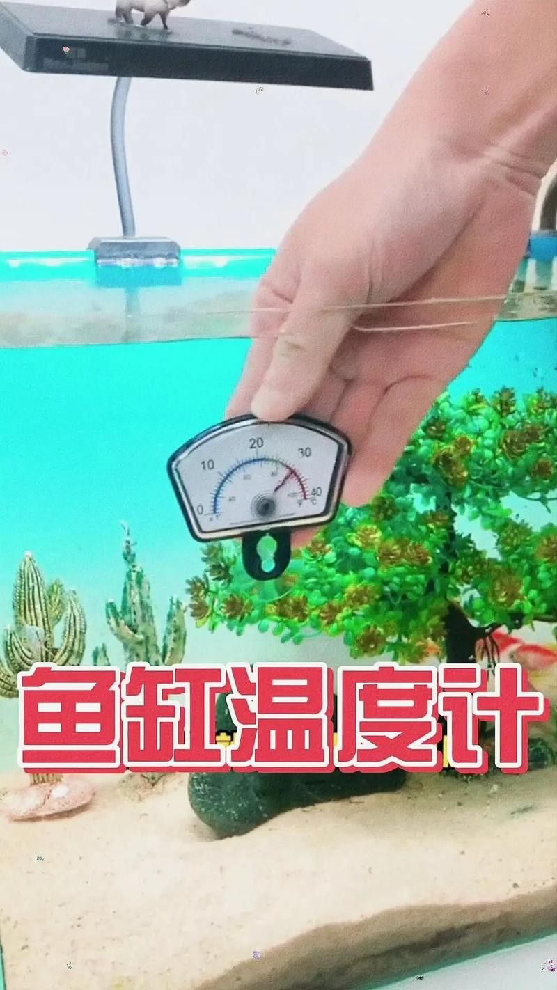 金龍魚缸溫度計推薦（金龍魚缸溫度計哪種好途） 金龍魚缸溫度計推薦（金龍魚缸溫度計哪種好途） 龍魚百科 第1張