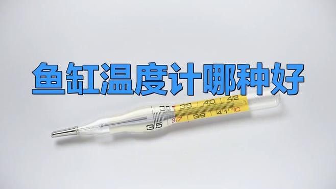 金龍魚缸溫度計推薦（金龍魚缸溫度計哪種好途） 金龍魚缸溫度計推薦（金龍魚缸溫度計哪種好途） 龍魚百科 第9張