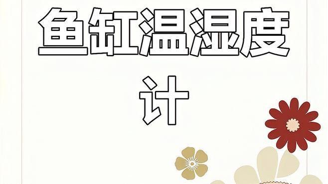 金龍魚缸溫度計推薦（金龍魚缸溫度計哪種好途） 金龍魚缸溫度計推薦（金龍魚缸溫度計哪種好途） 龍魚百科 第14張