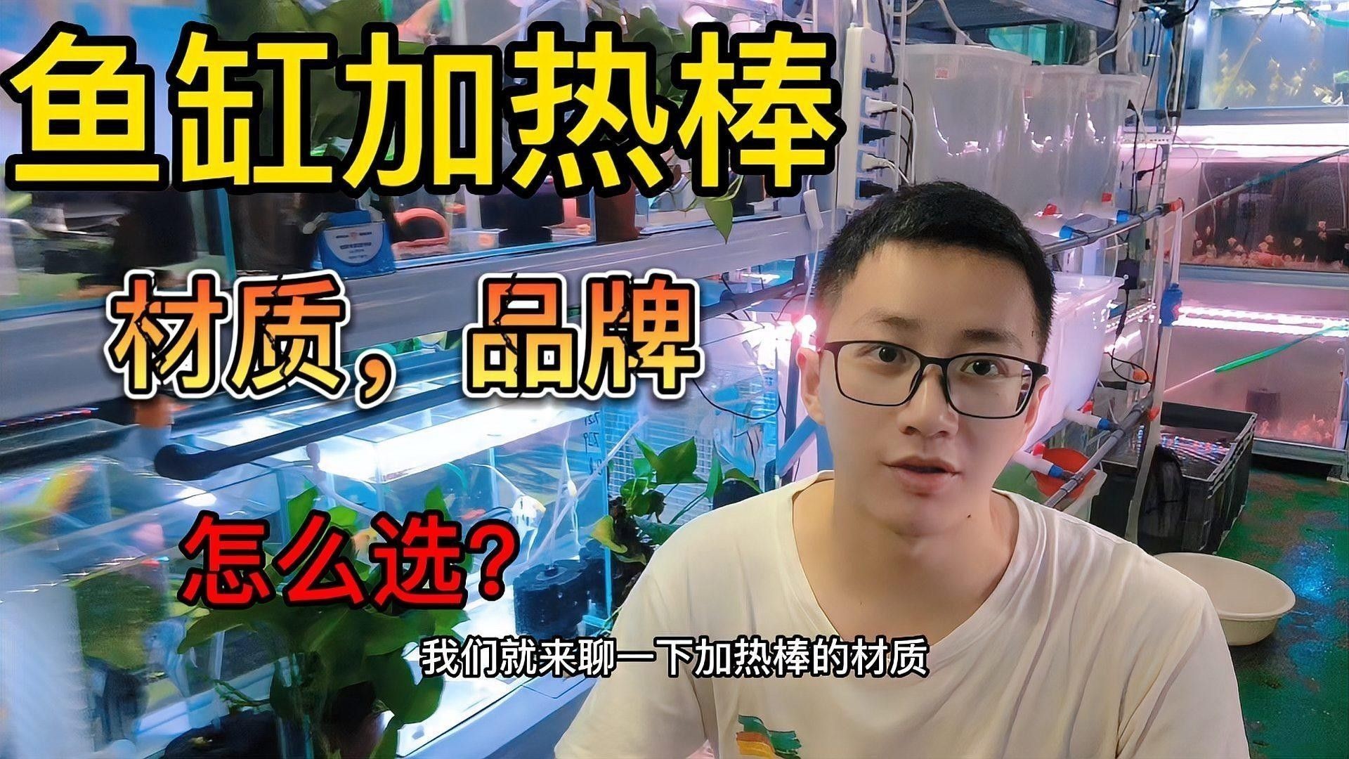 哪種類型的加熱棒更穩定？（共參考4篇資料）