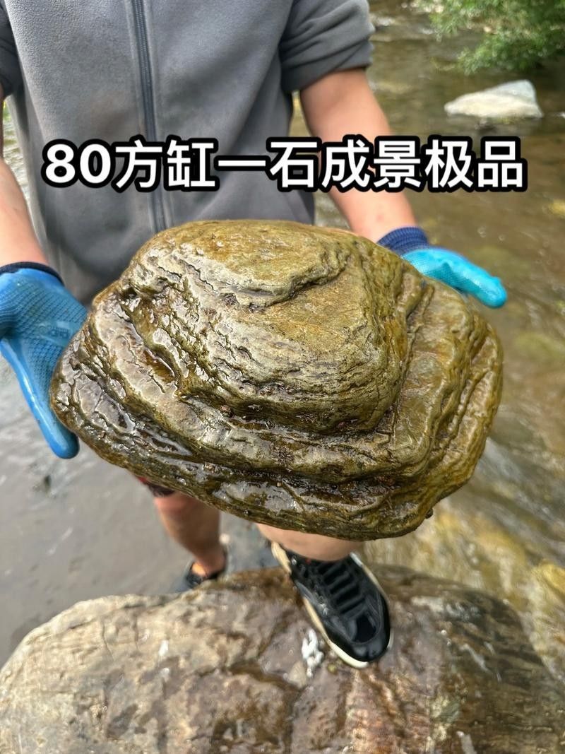有哪些品牌造景石推薦？（綜合多個(gè)可信來源整理的造景石品牌推薦及特點(diǎn)分析）