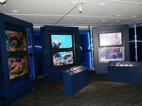山海關哪個水族館龍魚好？祥龍魚場龍魚（山海關與龍魚相關的水族館及魚場信息如下：祥龍魚場） 山海關哪個水族館龍魚好？祥龍魚場龍魚（山海關與龍魚相關的水族館及魚場信息如下：祥龍魚場） 龍魚百科 第6張