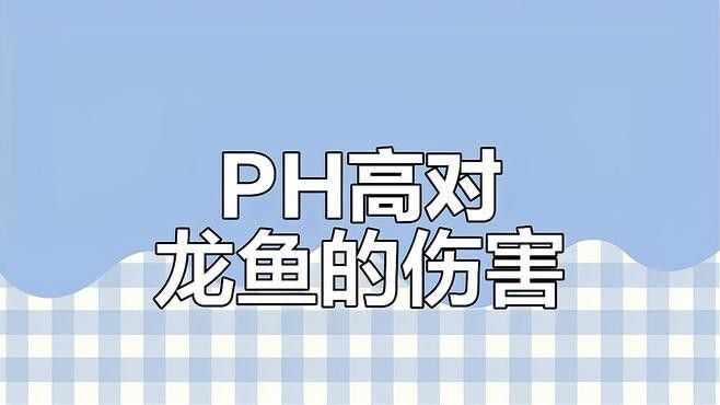 如何預防龍魚中毒？（中國鰻魚網龍魚中毒死亡原因大揭秘如何避免悲劇發生）