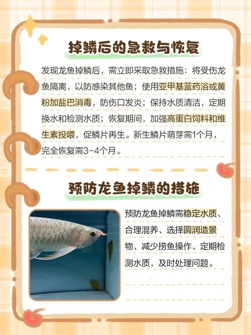 如何預防龍魚中毒？（中國鰻魚網龍魚中毒死亡原因大揭秘如何避免悲劇發生）