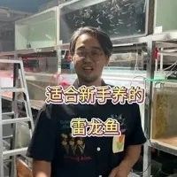 幻紅雷龍魚適合新手嗎（幻彩紅寶石雷龍（簡稱幻紅）是公認最適合新手入門的雷龍魚品種之一） 幻紅雷龍魚適合新手嗎（幻彩紅寶石雷龍（簡稱幻紅）是公認最適合新手入門的雷龍魚品種之一） 龍魚百科 第9張