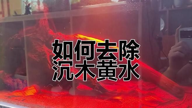 沉木黃水問題如何解決？（沉木黃水怎樣解決）