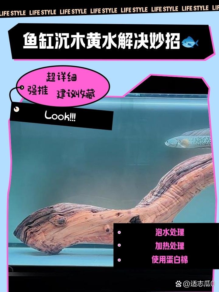 沉木黃水問題如何解決？（沉木黃水怎樣解決）