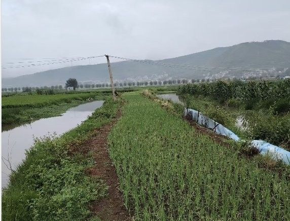 該養殖基地是否有官方網站？（會澤智興養殖有限公司官方網站）