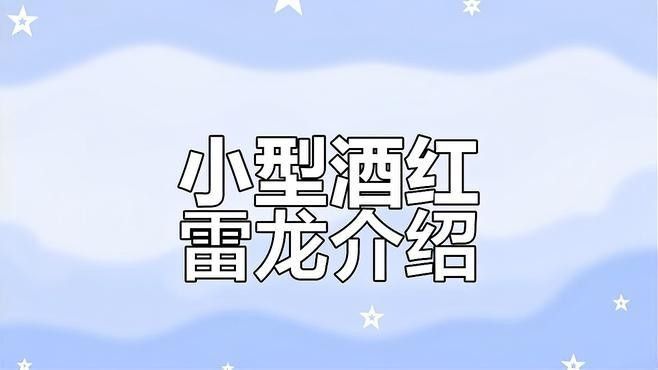 酒紅雷龍魚有哪些品種（酒紅雷龍魚的品種及種介紹）