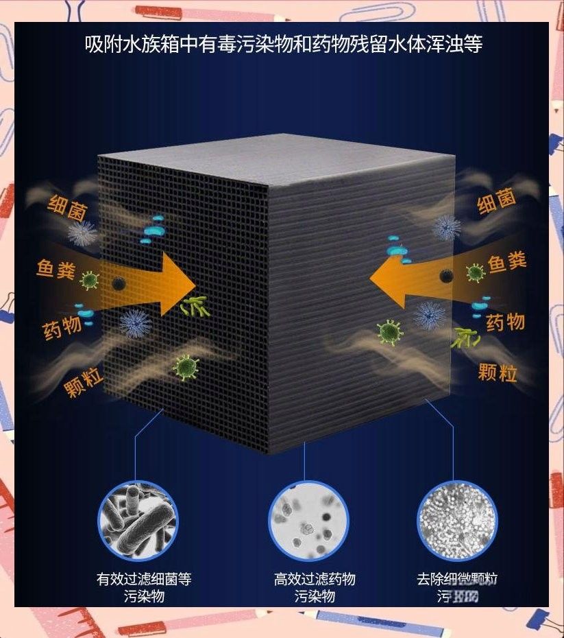 底濾魚缸活性炭放在哪個槽（底濾魚缸中活性炭的放置位置需結合過濾系統水流方向和濾材分層邏輯） 底濾魚缸活性炭放在哪個槽（底濾魚缸中活性炭的放置位置需結合過濾系統水流方向和濾材分層邏輯） 龍魚百科 第12張