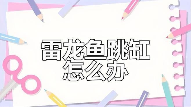 雷龍魚跳缸后如何護理（七彩雷龍魚跳缸怎么辦急救與保養全攻略給我一份麻薯）