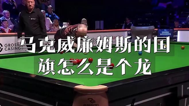 還有哪些領域使用了紅龍旗？（紅龍旗作為威爾士的官方象征）