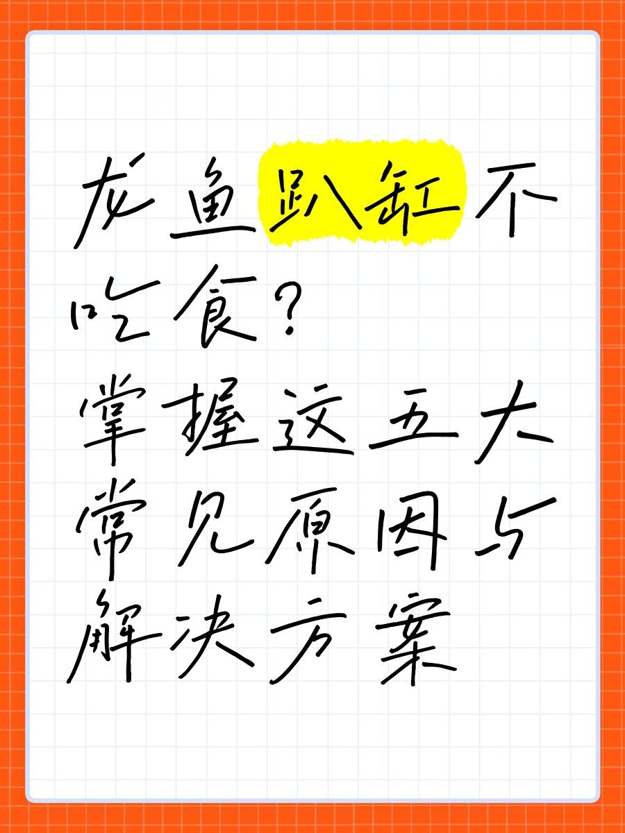 龍魚不吃面包蟲怎么辦？（網(wǎng)絡游俠,龍魚拒食怎么辦,原因有哪些）
