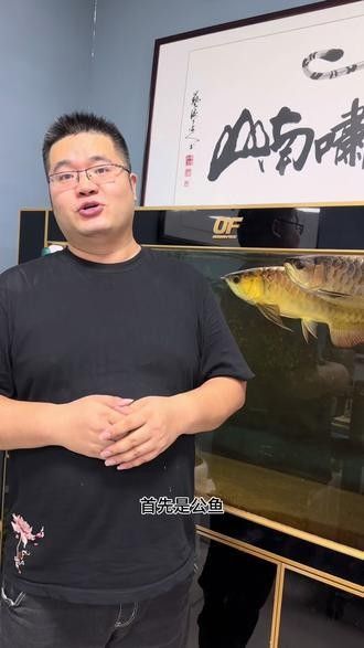 海龍魚如何繁殖？（海龍魚的繁殖方式具有獨特的生物學特征其核心過程）