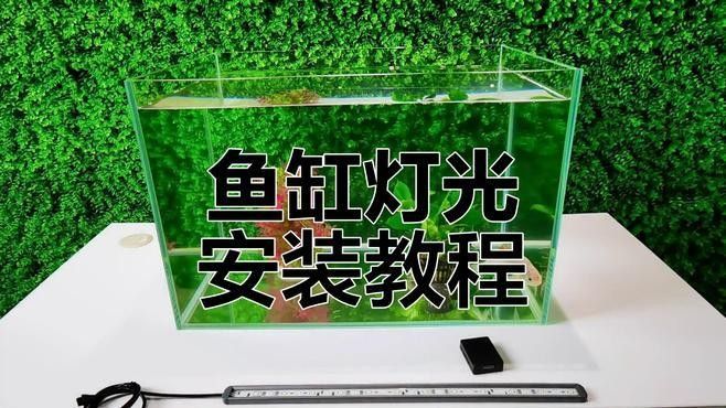 曼龍魚缸照明燈如何安裝（共參考5篇資料,00:54魚缸燈到底怎么安裝好看）