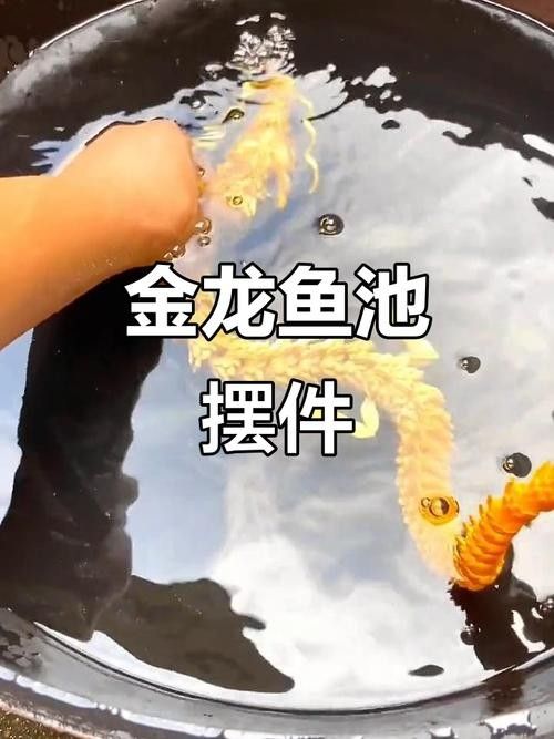 金龍魚多久需要加一次鹽？（養(yǎng)金魚多久放一次鹽）