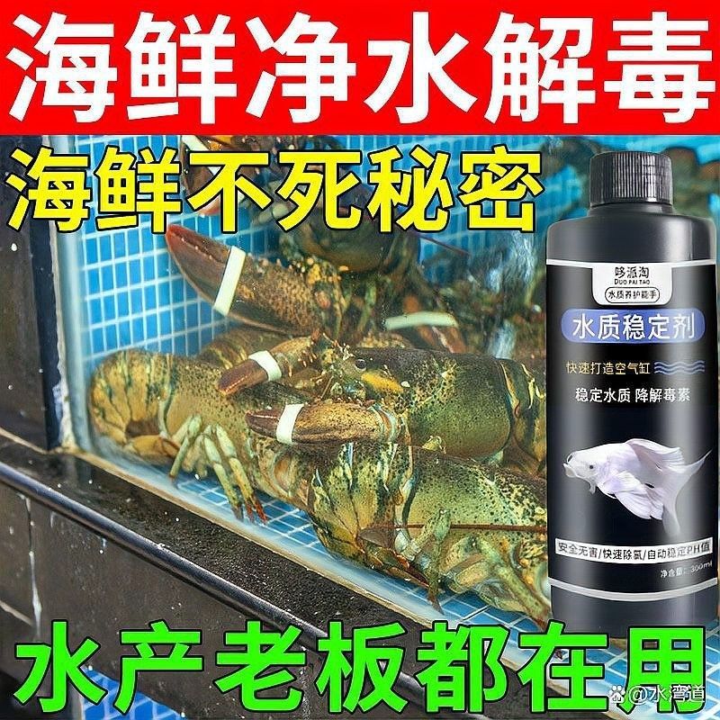 金龍魚多久需要加一次鹽？（養(yǎng)金魚多久放一次鹽）