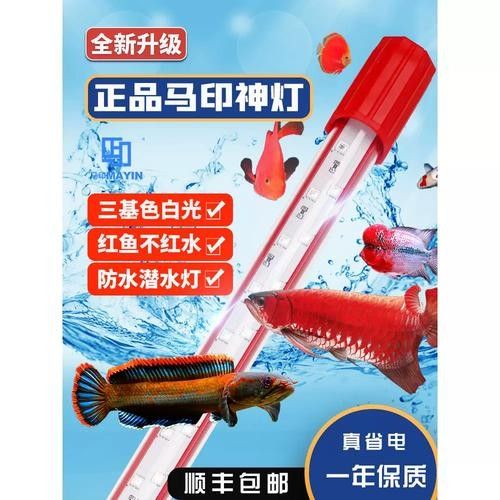 馬印龍魚燈的LED燈管壽命有多長(zhǎng)？（太平洋汽車，led燈管使用壽命是多久）