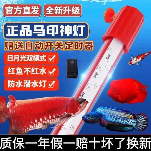 馬印龍魚燈的LED燈管壽命有多長(zhǎng)？（太平洋汽車，led燈管使用壽命是多久）